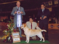 CHAMPION JKC DOG SHOW