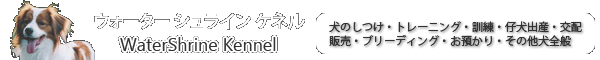 ウォーターシュラインケネルWebサイト