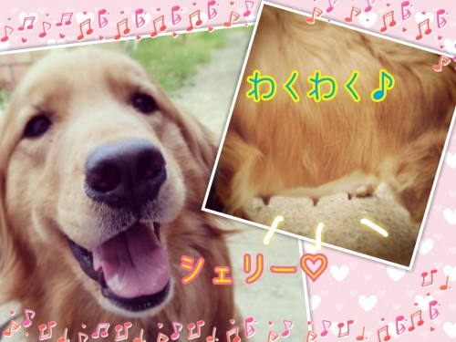 2015-05-24-21-03-50_deco.jpg